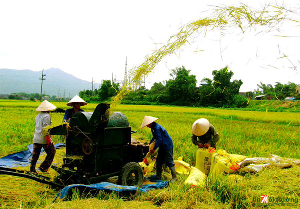 Hơn[-]1.000[-]tỷ[-]đồng[-]xây[-]dựng[-]nông[-]thôn[-]mới[-]ở[-]Thái[-]Nguyên